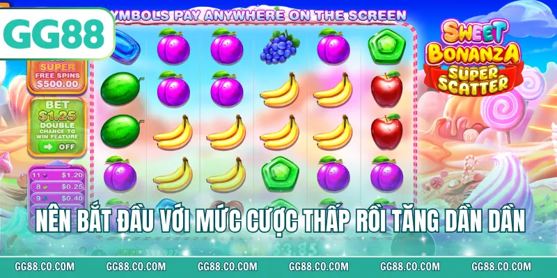 Nên bắt đầu với mức cược thấp rồi tăng dần dần